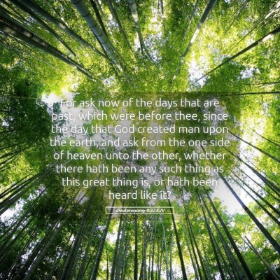 Picture 05 - Deuteronomy 4:32 KJV - For ask now of the days that are past, which were - Bible Verse Picture