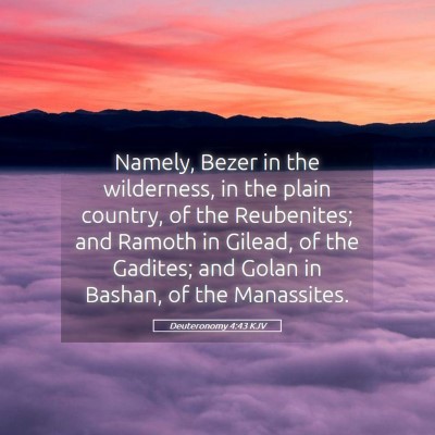 Picture 05 - Deuteronomy 4:43 KJV - Namely, Bezer in the wilderness, in the plain - Bible Verse Picture