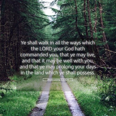 Picture 05 - Deuteronomy 5:33 KJV - Ye shall walk in all the ways which the LORD your - Bible Verse Picture