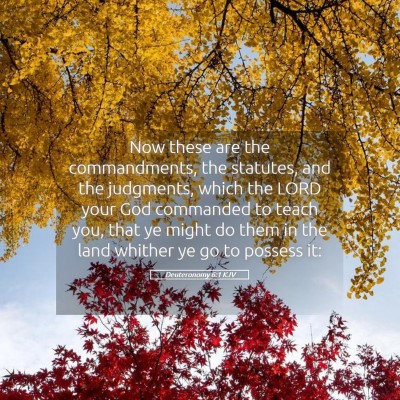 Picture 05 - Deuteronomy 6:1 KJV - Now these are the commandments, the statutes, and - Bible Verse Picture