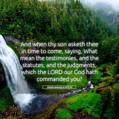 Picture 05 - Deuteronomy 6:20 KJV - And when thy son asketh thee in time to come, - Bible Verse Picture