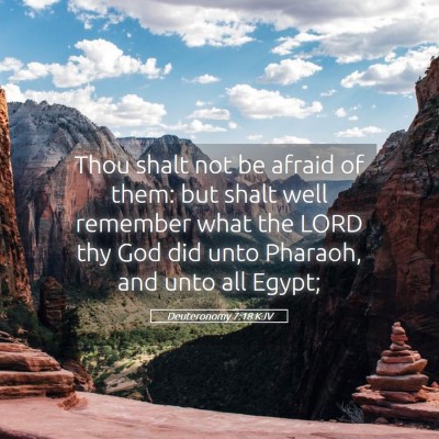 Picture 05 - Deuteronomy 7:18 KJV - Thou shalt not be afraid of them: but shalt well - Bible Verse Picture