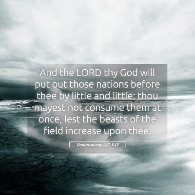 Picture 05 - Deuteronomy 7:22 KJV - And the LORD thy God will put out those nations - Bible Verse Picture
