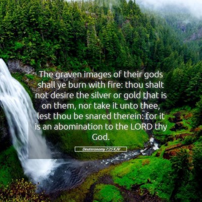 Picture 05 - Deuteronomy 7:25 KJV - The graven images of their gods shall ye burn - Bible Verse Picture