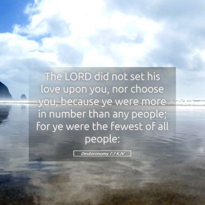 Picture 05 - Deuteronomy 7:7 KJV - The LORD did not set his love upon you, nor - Bible Verse Picture