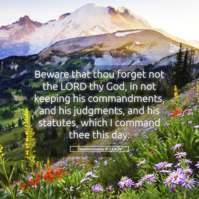 Picture 05 - Deuteronomy 8:11 KJV - Beware that thou forget not the LORD thy God, in - Bible Verse Picture