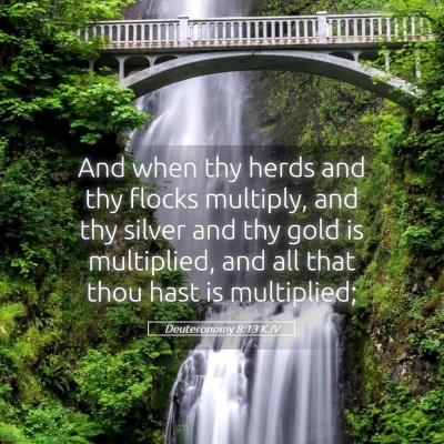 Picture 05 - Deuteronomy 8:13 KJV - And when thy herds and thy flocks multiply, and - Bible Verse Picture