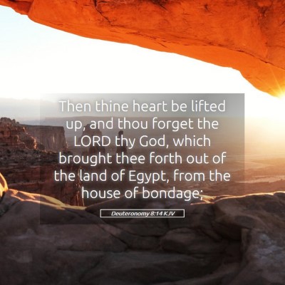 Picture 05 - Deuteronomy 8:14 KJV - Then thine heart be lifted up, and thou forget - Bible Verse Picture