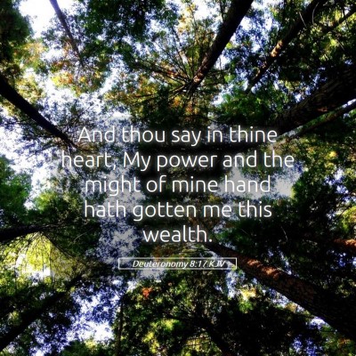Picture 05 - Deuteronomy 8:17 KJV - And thou say in thine heart, My power and the - Bible Verse Picture