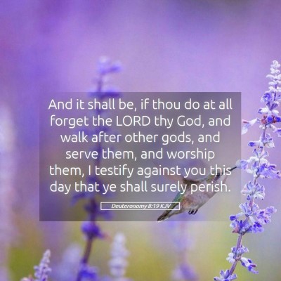 Picture 05 - Deuteronomy 8:19 KJV - And it shall be, if thou do at all forget the - Bible Verse Picture