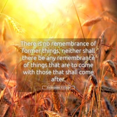 Picture 05 - Ecclesiastes 1:11 KJV - There is no remembrance of former things; neither - Bible Verse Picture