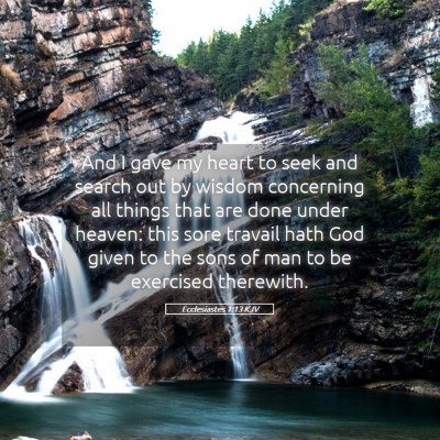 Picture 05 - Ecclesiastes 1:13 KJV - And I gave my heart to seek and search out by - Bible Verse Picture