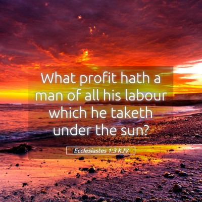 Picture 05 - Ecclesiastes 1:3 KJV - What profit hath a man of all his labour which he - Bible Verse Picture