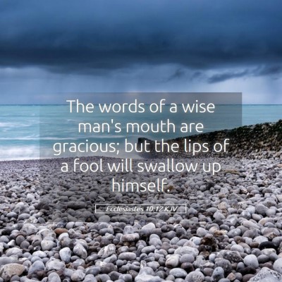 Picture 05 - Ecclesiastes 10:12 KJV - The words of a wise man's mouth are gracious; but - Bible Verse Picture
