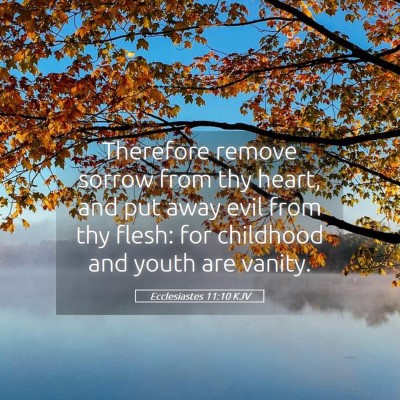 Picture 05 - Ecclesiastes 11:10 KJV - Therefore remove sorrow from thy heart, and put - Bible Verse Picture