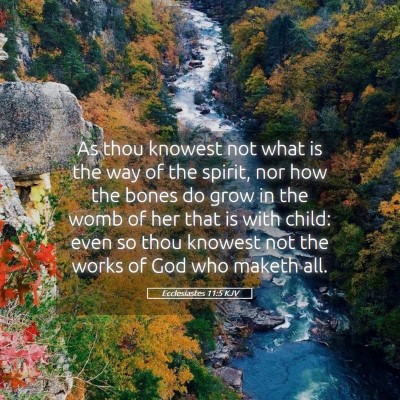 Picture 05 - Ecclesiastes 11:5 KJV - As thou knowest not what is the way of the - Bible Verse Picture