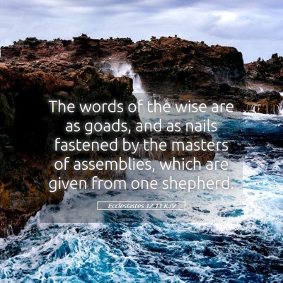 Picture 05 - Ecclesiastes 12:11 KJV - The words of the wise are as goads, and as nails - Bible Verse Picture