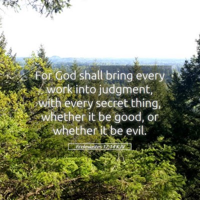 Picture 05 - Ecclesiastes 12:14 KJV - For God shall bring every work into judgment, - Bible Verse Picture