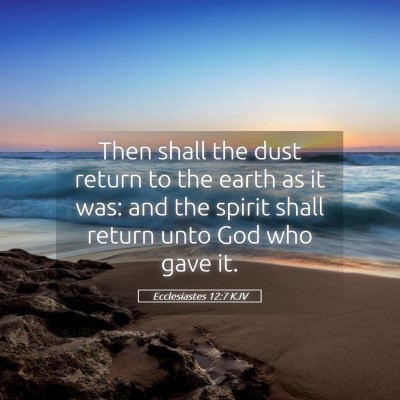 Picture 05 - Ecclesiastes 12:7 KJV - Then shall the dust return to the earth as it - Bible Verse Picture