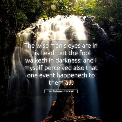 Picture 05 - Ecclesiastes 2:14 KJV - The wise man's eyes are in his head; but the fool - Bible Verse Picture