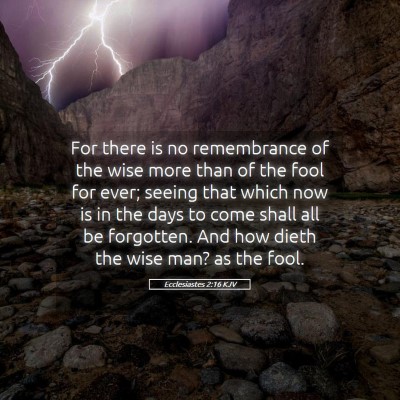 Picture 05 - Ecclesiastes 2:16 KJV - For there is no remembrance of the wise more than - Bible Verse Picture