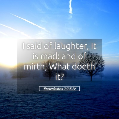 Picture 05 - Ecclesiastes 2:2 KJV - I said of laughter, It is mad: and of mirth, What - Bible Verse Picture
