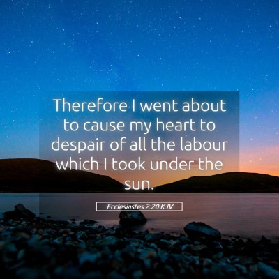 Picture 05 - Ecclesiastes 2:20 KJV - Therefore I went about to cause my heart to - Bible Verse Picture