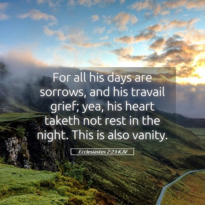 Picture 05 - Ecclesiastes 2:23 KJV - For all his days are sorrows, and his travail - Bible Verse Picture
