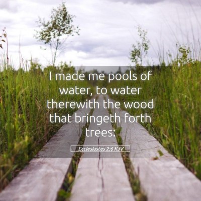 Picture 05 - Ecclesiastes 2:6 KJV - I made me pools of water, to water therewith the - Bible Verse Picture