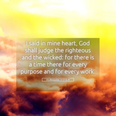 Picture 05 - Ecclesiastes 3:17 KJV - I said in mine heart, God shall judge the - Bible Verse Picture