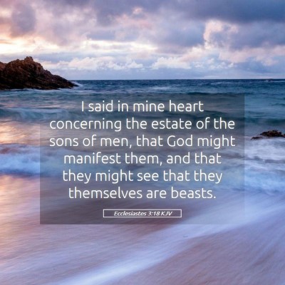 Picture 05 - Ecclesiastes 3:18 KJV - I said in mine heart concerning the estate of the - Bible Verse Picture