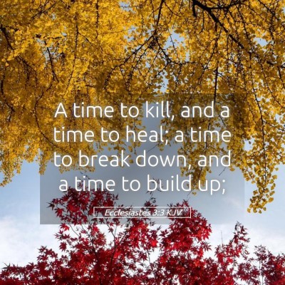 Picture 05 - Ecclesiastes 3:3 KJV - A time to kill, and a time to heal; a time to - Bible Verse Picture