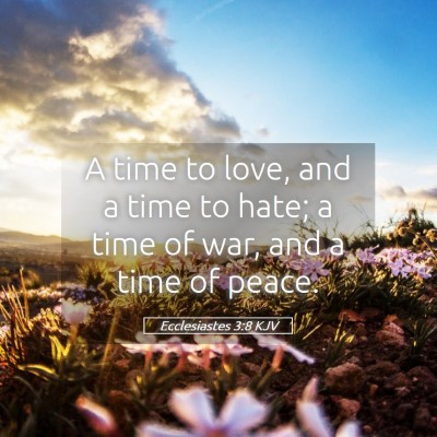 Picture 05 - Ecclesiastes 3:8 KJV - A time to love, and a time to hate; a time of - Bible Verse Picture