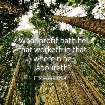 Picture 05 - Ecclesiastes 3:9 KJV - What profit hath he that worketh in that wherein - Bible Verse Picture