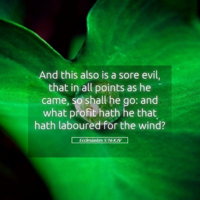 Picture 05 - Ecclesiastes 5:16 KJV - And this also is a sore evil, that in all points - Bible Verse Picture