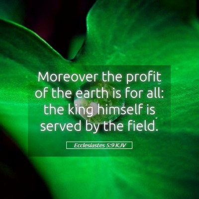Picture 05 - Ecclesiastes 5:9 KJV - Moreover the profit of the earth is for all: the - Bible Verse Picture