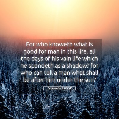 Picture 05 - Ecclesiastes 6:12 KJV - For who knoweth what is good for man in this - Bible Verse Picture