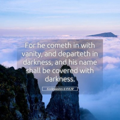 Picture 05 - Ecclesiastes 6:4 KJV - For he cometh in with vanity, and departeth in - Bible Verse Picture