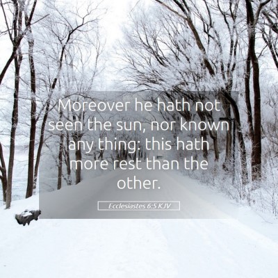 Picture 05 - Ecclesiastes 6:5 KJV - Moreover he hath not seen the sun, nor known any - Bible Verse Picture