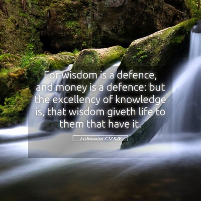 Picture 05 - Ecclesiastes 7:12 KJV - For wisdom is a defence, and money is a defence: - Bible Verse Picture