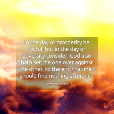 Picture 05 - Ecclesiastes 7:14 KJV - In the day of prosperity be joyful, but in the - Bible Verse Picture