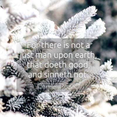 Picture 05 - Ecclesiastes 7:20 KJV - For there is not a just man upon earth, that - Bible Verse Picture