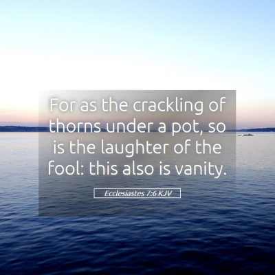 Picture 05 - Ecclesiastes 7:6 KJV - For as the crackling of thorns under a pot, so is - Bible Verse Picture