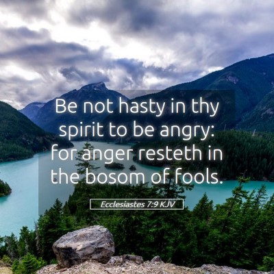 Picture 05 - Ecclesiastes 7:9 KJV - Be not hasty in thy spirit to be angry: for anger - Bible Verse Picture