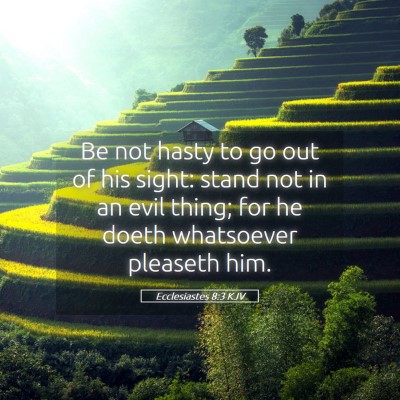 Picture 05 - Ecclesiastes 8:3 KJV - Be not hasty to go out of his sight: stand not in - Bible Verse Picture