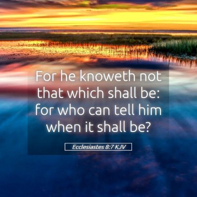 Picture 05 - Ecclesiastes 8:7 KJV - For he knoweth not that which shall be: for who - Bible Verse Picture