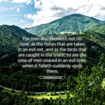 Picture 05 - Ecclesiastes 9:12 KJV - For man also knoweth not his time: as the fishes - Bible Verse Picture