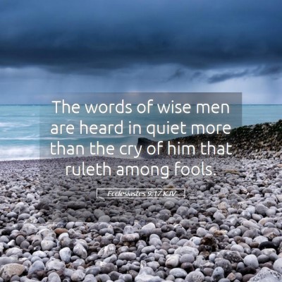 Picture 05 - Ecclesiastes 9:17 KJV - The words of wise men are heard in quiet more - Bible Verse Picture