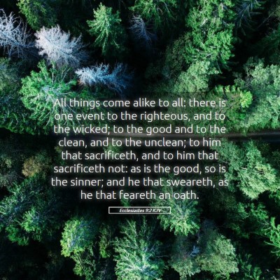 Picture 05 - Ecclesiastes 9:2 KJV - All things come alike to all: there is one event - Bible Verse Picture