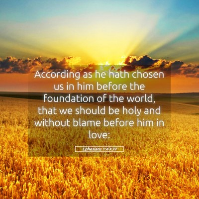 Picture 05 - Ephesians 1:4 KJV - According as he hath chosen us in him before the - Bible Verse Picture
